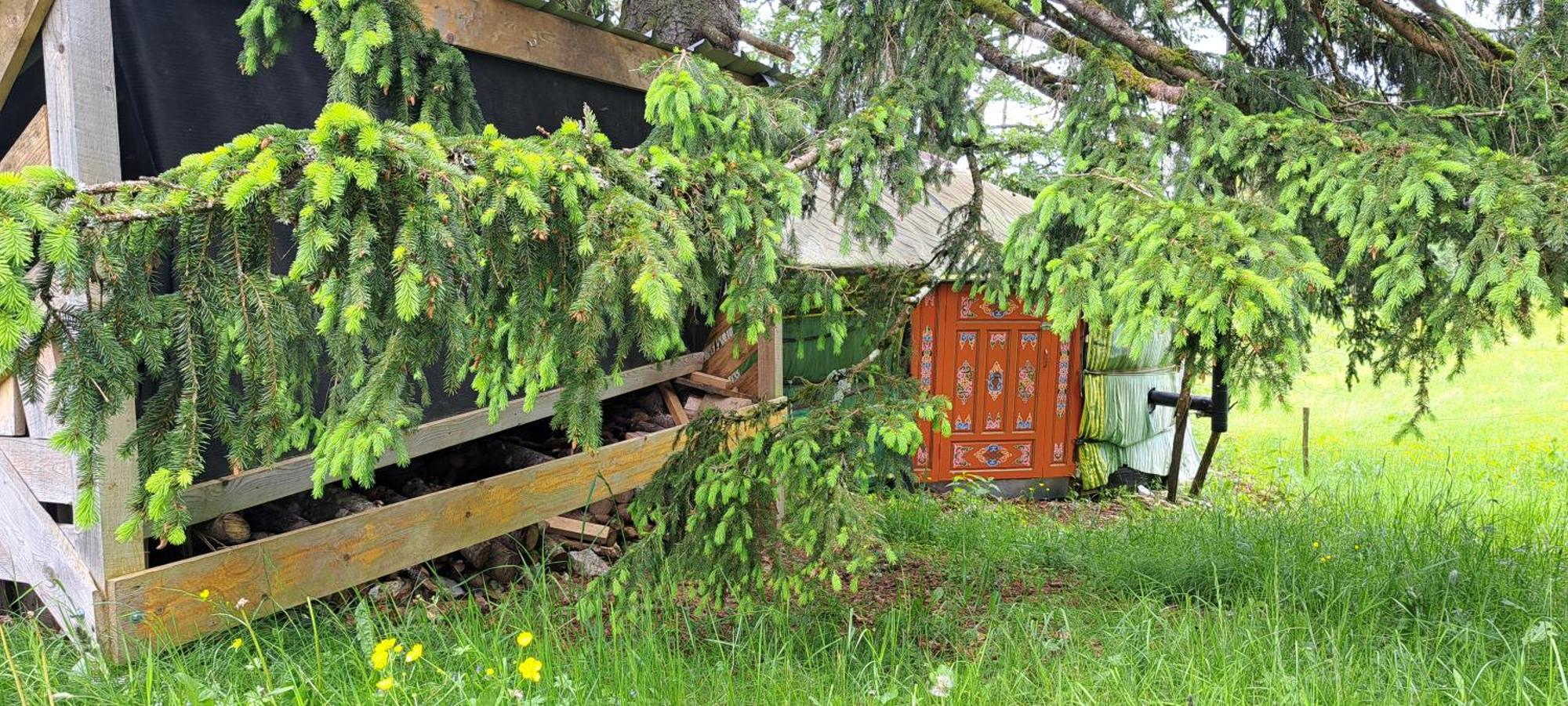 Отель La Petite Echelle Rochejean Экстерьер фото